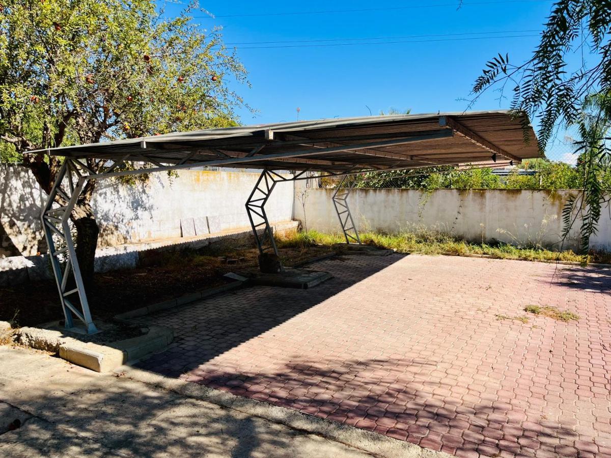 אליקאנטה Estudio Adosado Acogedor Con Jardin, Barbacoa Y Parking Privado מראה חיצוני תמונה