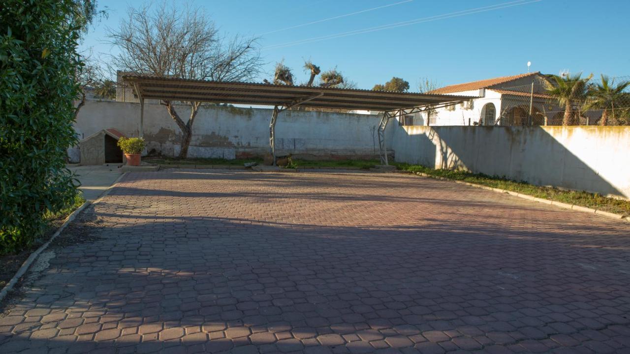 אליקאנטה Estudio Adosado Acogedor Con Jardin, Barbacoa Y Parking Privado מראה חיצוני תמונה